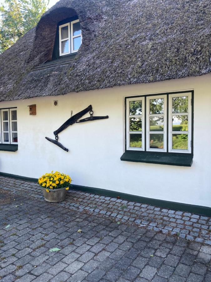 Skovlyset'S B&B Juelsminde  Dış mekan fotoğraf