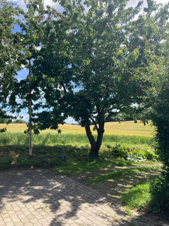 Skovlyset'S B&B Juelsminde  Dış mekan fotoğraf