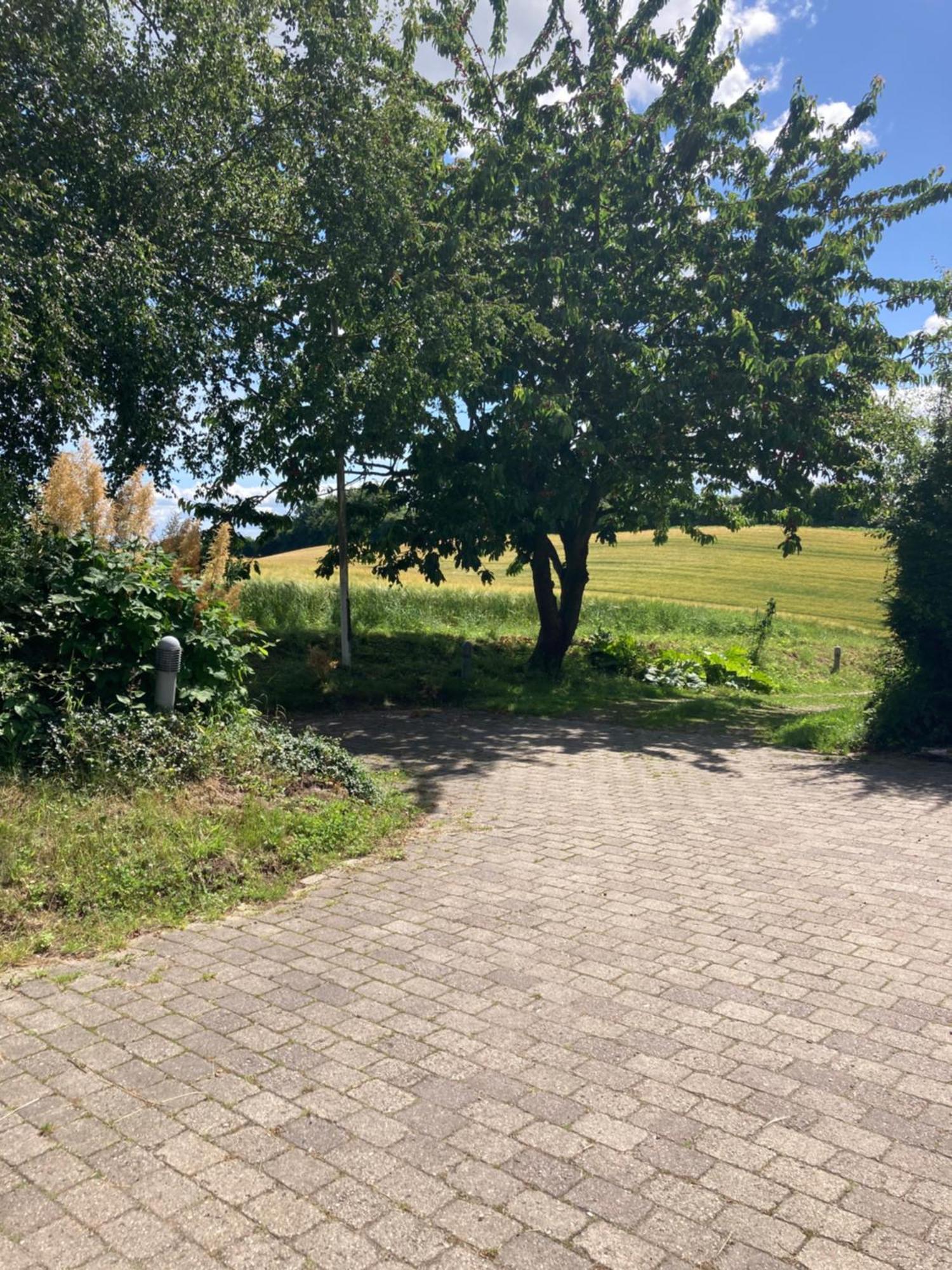 Skovlyset'S B&B Juelsminde  Dış mekan fotoğraf