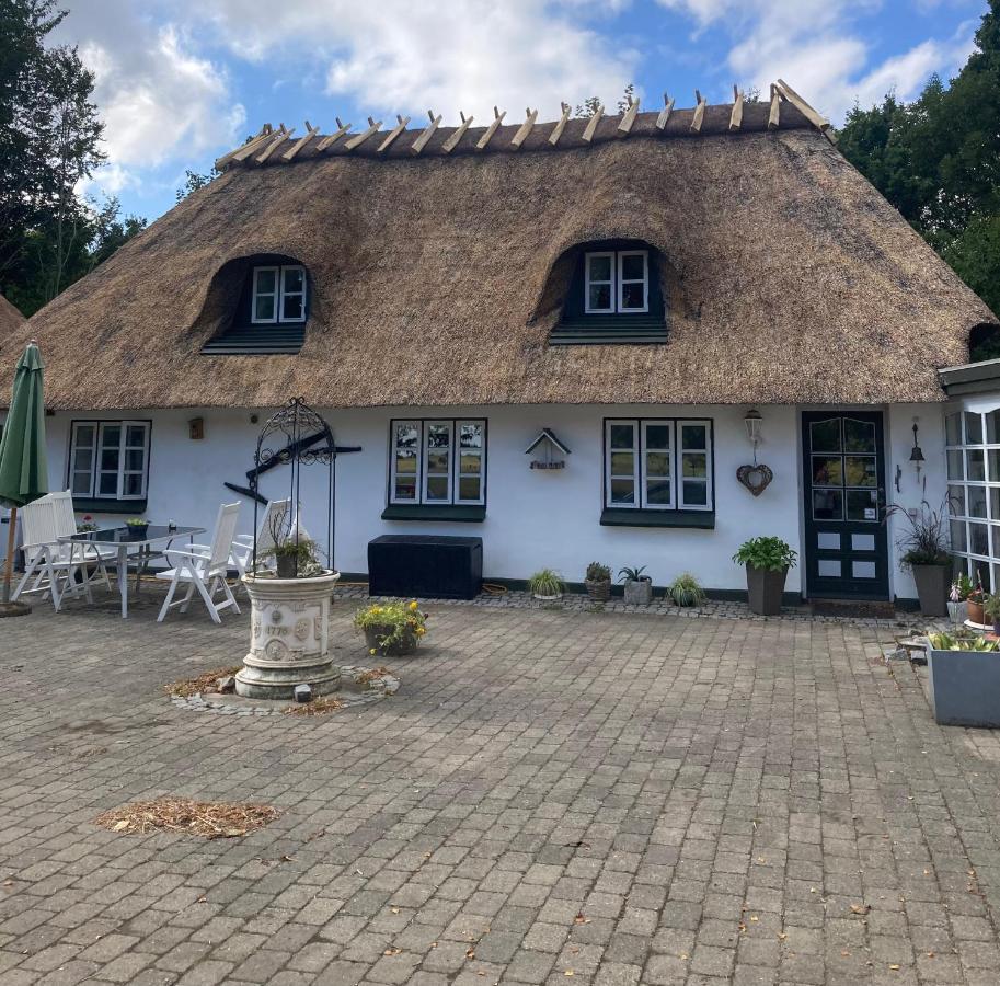 Skovlyset'S B&B Juelsminde  Dış mekan fotoğraf